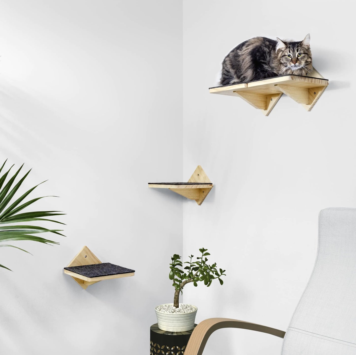 Strong Wall Shelves
