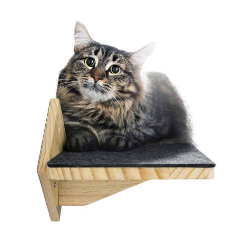 Strong Wall Shelves